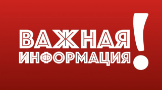 Анкетирование